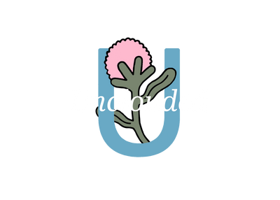 Unclouded